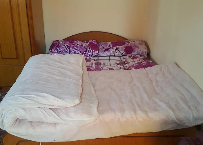Séjour chez l'habitant Friendship *